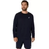 ASICS SØLV LANGÆRMET TOP ASICS SØLV LANGÆRMET TOP