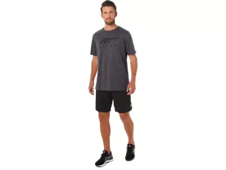 ASICS STRIBEDE KORTÆRMET T-SHIRT