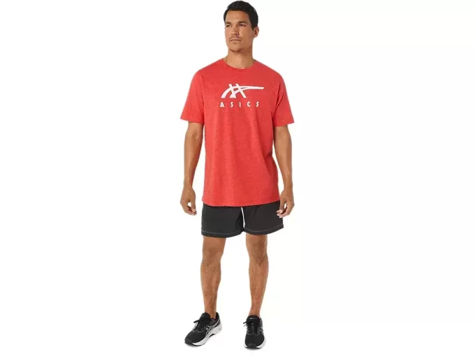 ASICS STRIBEDE KORTÆRMET T-SHIRT