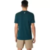 ASICS STRIBEDE KORTÆRMET T-SHIRT