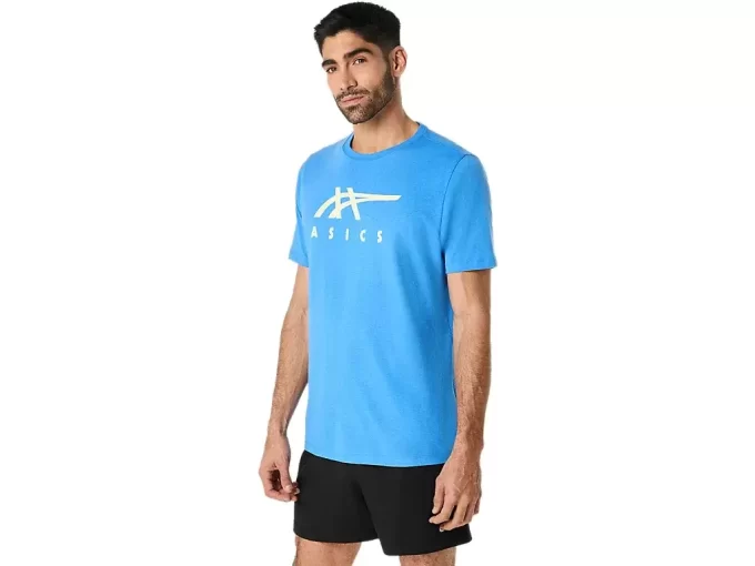 ASICS STRIBEDE KORTÆRMET T-SHIRT ASICS STRIBEDE KORTÆRMET T-SHIRT