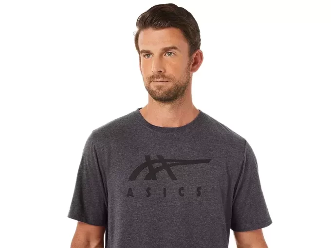 ASICS STRIBEDE KORTÆRMET T-SHIRT ASICS STRIBEDE KORTÆRMET T-SHIRT