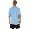 BLOSSOMING FUJI T-SHIRT