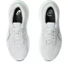 GT-1000 13 BRED GT-1000 13 BRED