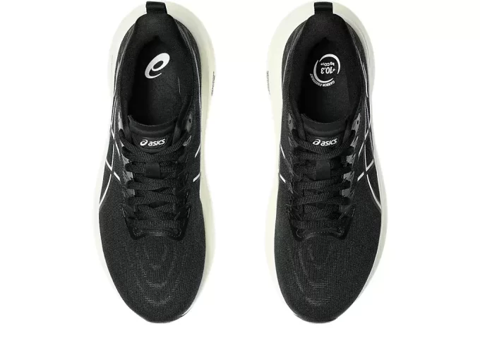 GT-2000 13 BRED GT-2000 13 BRED