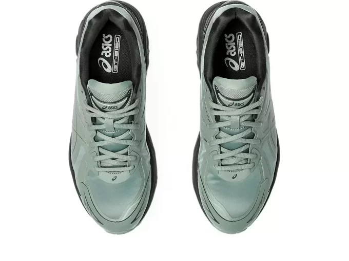GT-2160 LERGODS