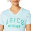 KORTE ÆRMER T-SHIRT MED V-HALS TIL DAMER, EST. 1977 KORTE ÆRMER T-SHIRT MED V-HALS TIL DAMER, EST. 1977