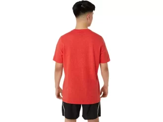 UNISEX ASICS EST. 1977 MOUNTAIN T-SHIRT