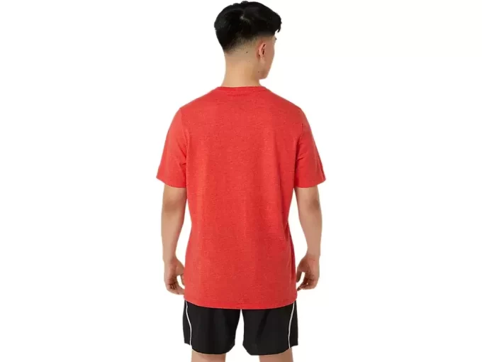 UNISEX ASICS EST. 1977 MOUNTAIN T-SHIRT